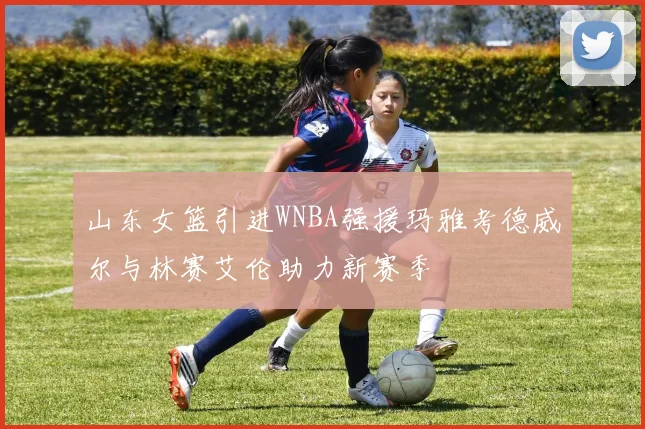 山东女篮引进WNBA强援玛雅考德威尔与林赛艾伦助力新赛季