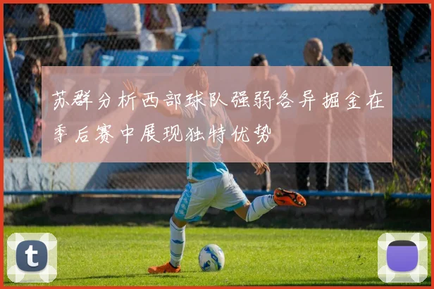 苏群分析西部球队强弱各异掘金在季后赛中展现独特优势