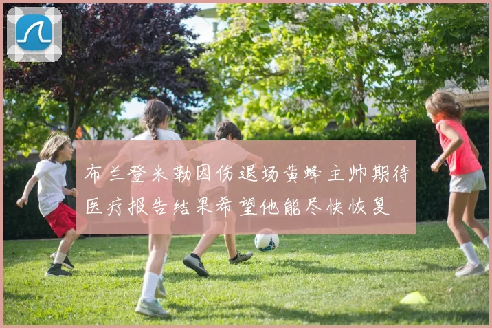 布兰登米勒因伤退场黄蜂主帅期待医疗报告结果希望他能尽快恢复