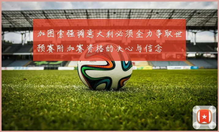 加图索强调意大利必须全力争取世预赛附加赛资格的决心与信念